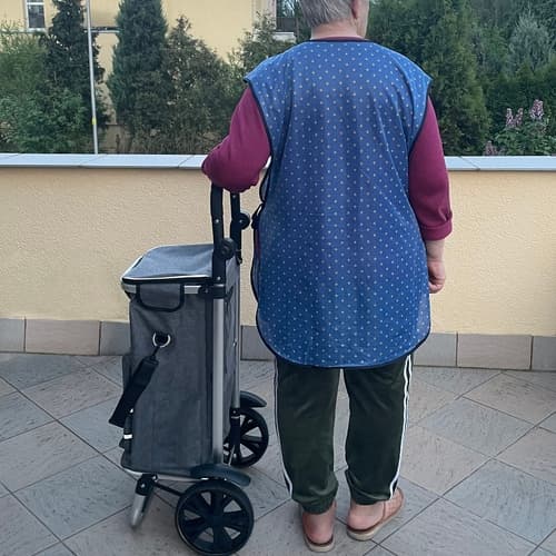 Indkøbsvogn Sammenklappelig med Taske – 40L 3650