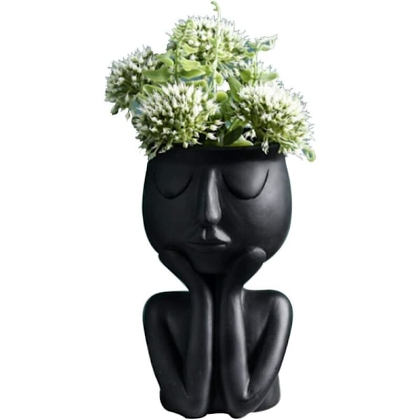 Kreativ Nordisk Karakterformet Vase, Sukkulente Planter, Abstrakt Blomsterpotte, Ansigt og Blomster, Indendørs, Sort Vase