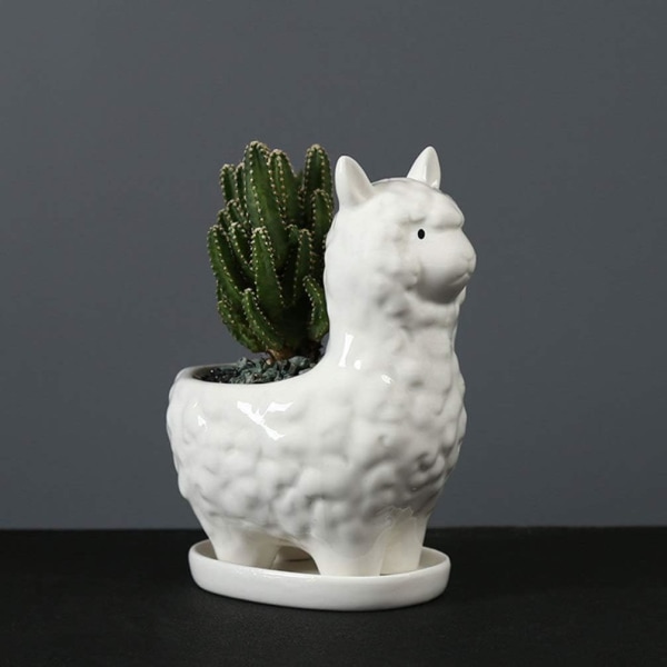 Alpaca blomsterpotte Kreative sukkulente plantepotter Søde dyr