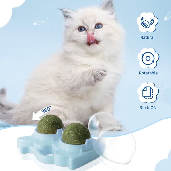 2 stk. Kattenipbolde til katte, tyggelegetøj og spiselige bolde