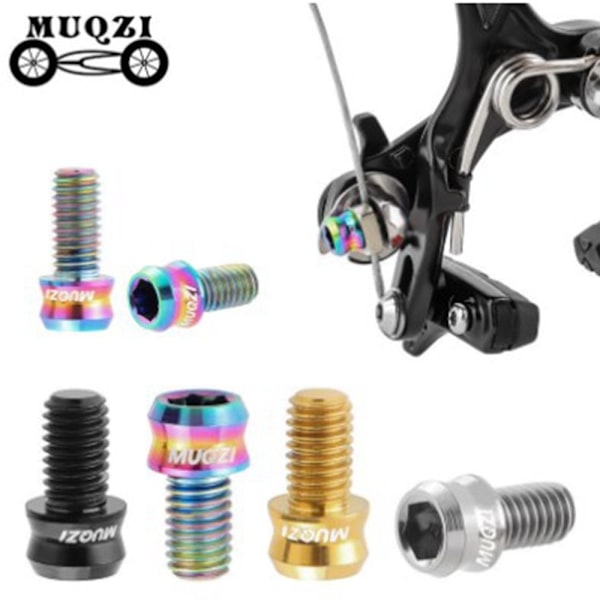MTB V jarrusatulan ruuvit RAINBOW M6X10MM Rainbow M6X10MM