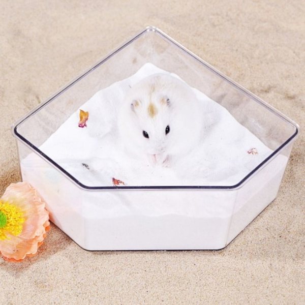 Sand Bad Box Sand Container Brusebad