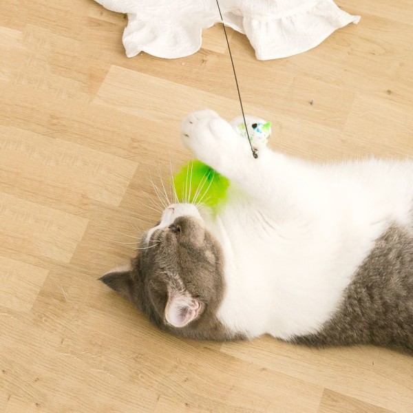 Pet Cat Teaser Legetøj Simulation Bird B B B