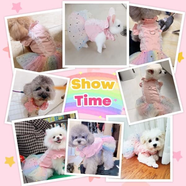 Hund Tyllklänning Hund Prinsessklänning Hundkläder