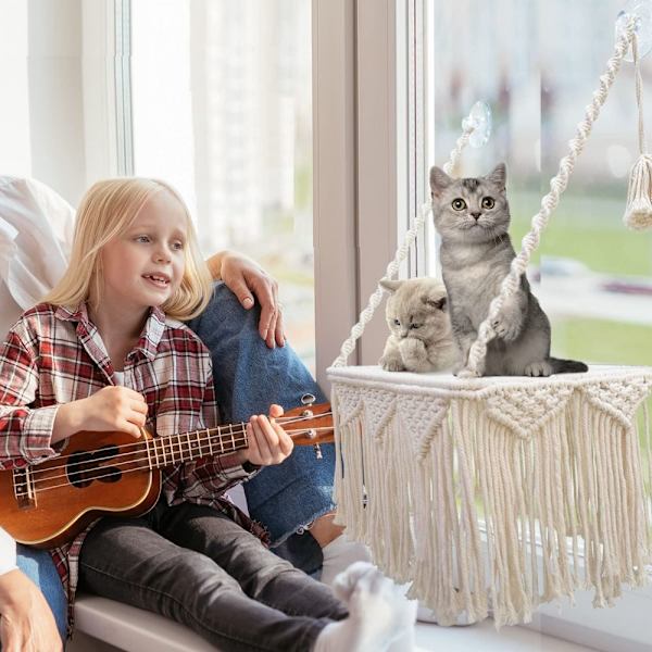 Cat Window Aborre Cat Hængekøje Kæledyr hvilesæde Seng