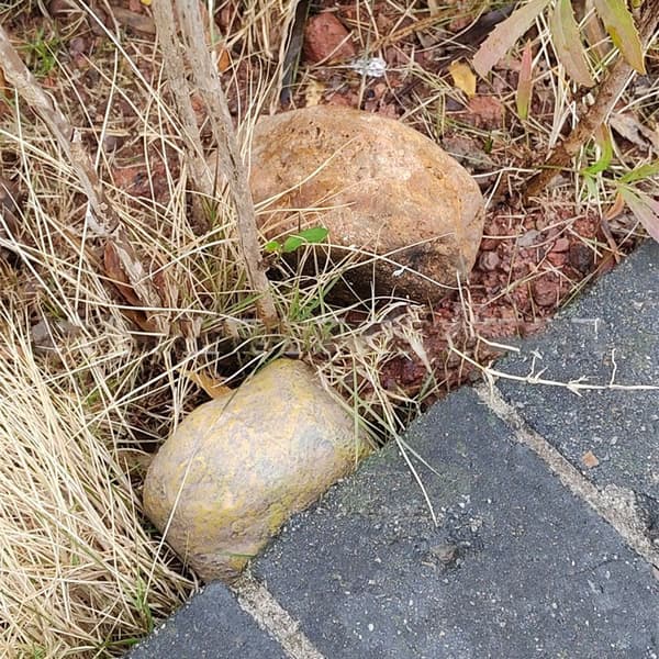 Nøgleorganisator, Nøgleetui, Stenformet Nøgleboks