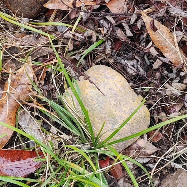 Nøkkelorganisering Nøkkelkasse Stone Shape Nøkkelboks