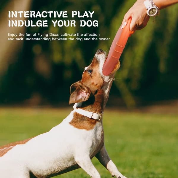 Hundefrisbee Leker EVA