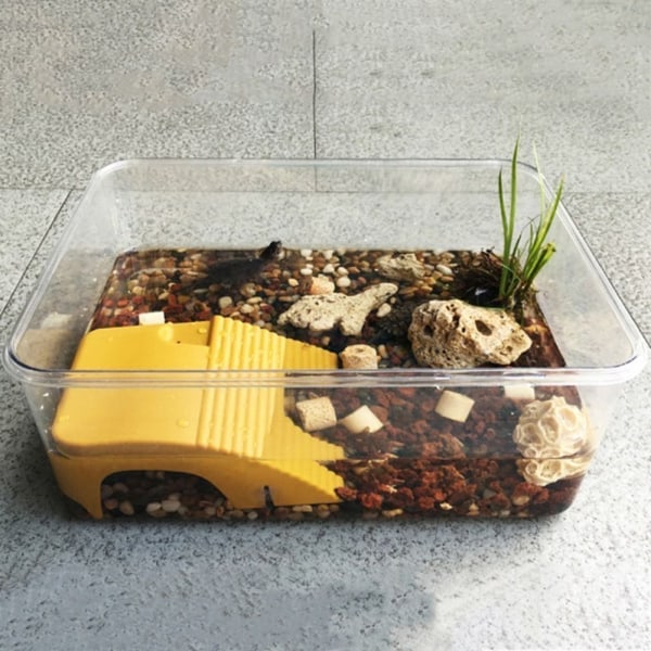 Turtle Basking Table Turtle Kiipeilytaso KAHVI Coffee
