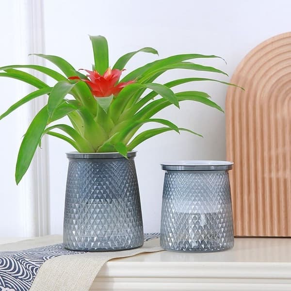 Plantepotte Blomsterpotte TRANSPARENT Transparent