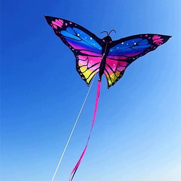 Drake 1.45m Drake Barndrake