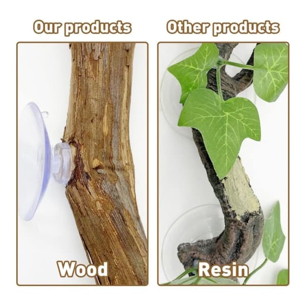 Reptil Dekor Grape Wood Stativ Leker Holdbare