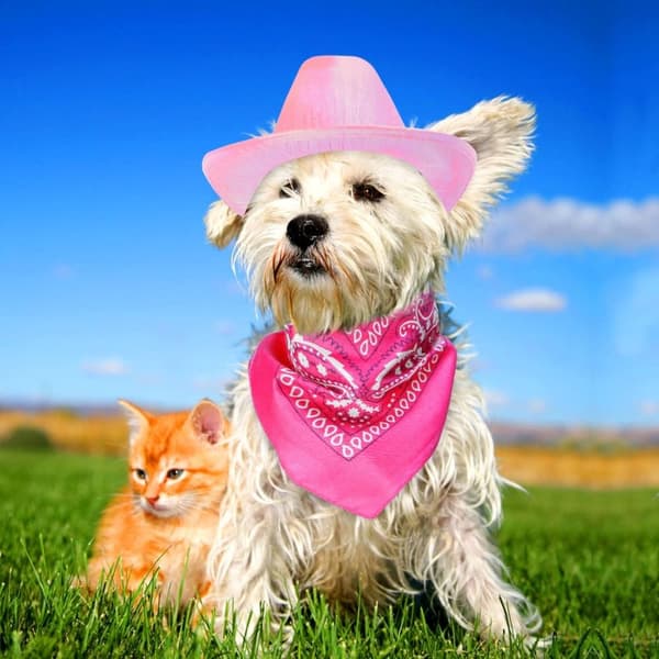 Husdjurs Cowboy Set Mångsidig Kostym Rosa