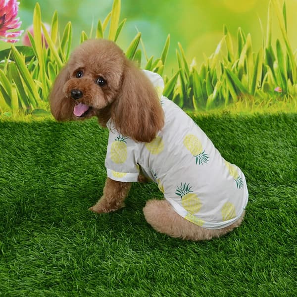 Solbeskyttende hettegenser for hund, MRED APPLE RED MRed apple