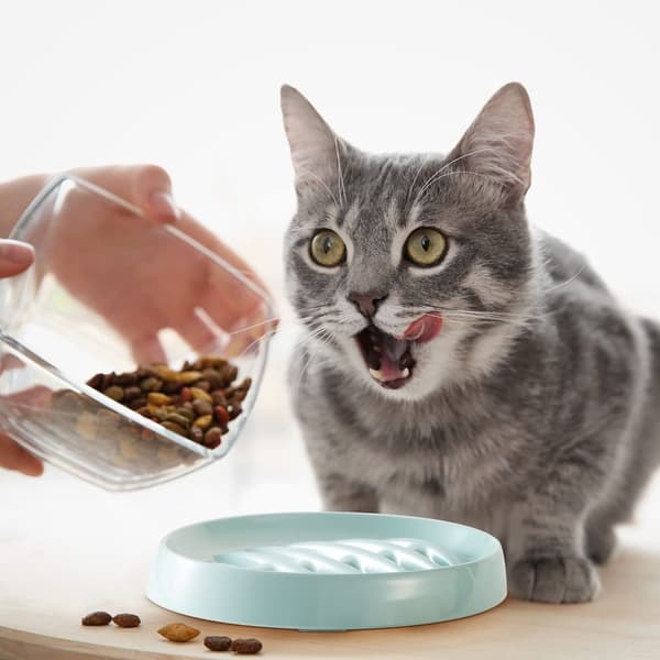 2 st Långsam Ätskål Djurskålar Katt Långsam Ätare