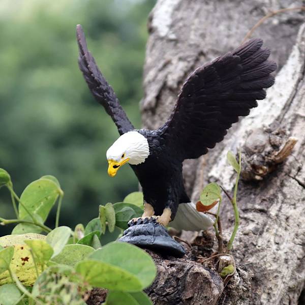 Naturtro ørn Model Simulering Raptor Figurer Wildlife Bird