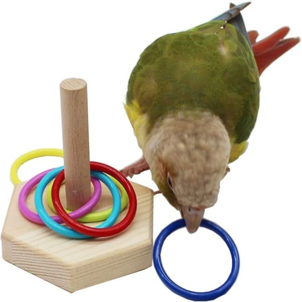 Bird Toys Ring Training Intelligence Training Toy