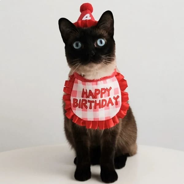 Katt Bursdag Skjerf Hatt Sett Rekvisittsett BLÅ Blue