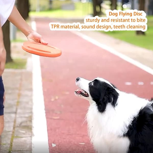 Hundefrisbee Leker EVA