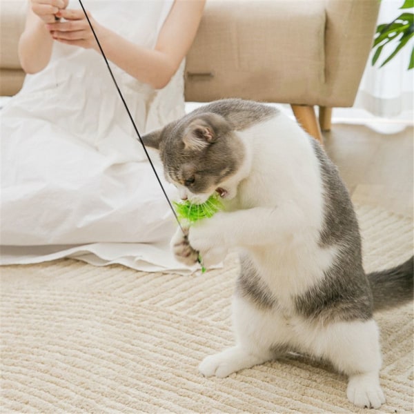 Pet Cat Teaser Toys Simulation Bird B B B