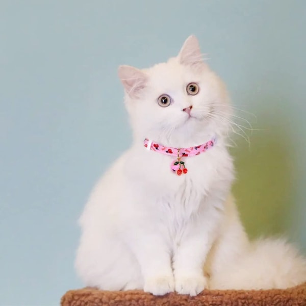 2 stk Bell Pendant Pet Cat Collar Bell Breakaway Cat Collars