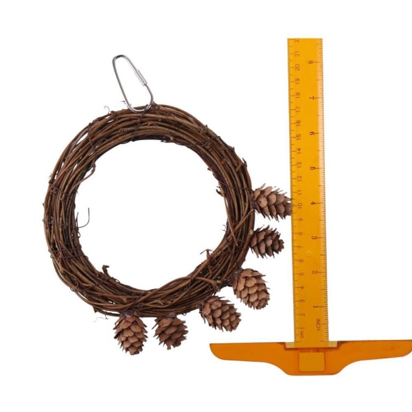 Fugle Stand Ringe Fuglegynge Aborre Fugle Lege Gym