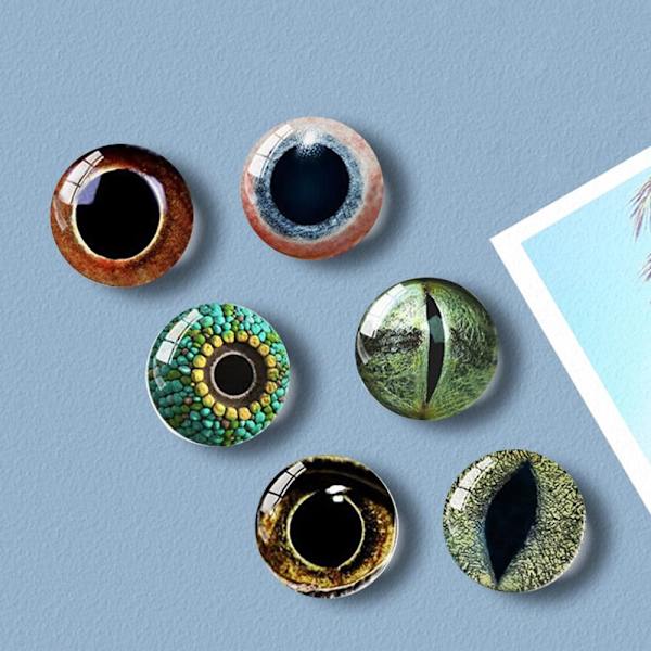 20 stk/10 par Eyes Crafts Eyes Puppet Crystal Eyes 12MM-FARVE 12mm-color random