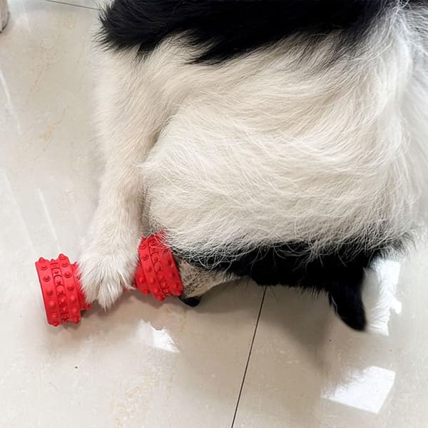 Koiran purulelu, herkkuruokaa annosteleva koiran lelu PUNAINEN PUNAINEN Red
