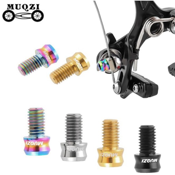 MTB V jarrusatulan ruuvit RAINBOW M6X10MM Rainbow M6X10MM