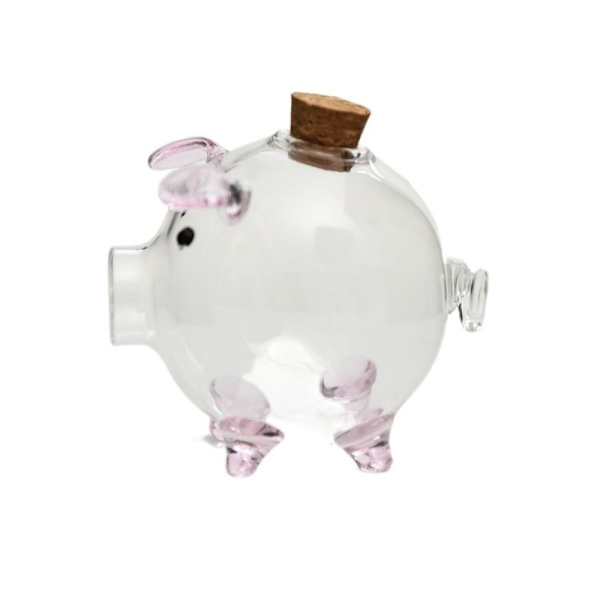 Piggy Bank Storage Bottl 2 2 2