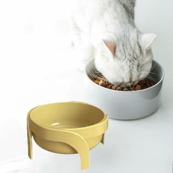 Högbenad kattskål Nackskyddsskål BLÅ Blue