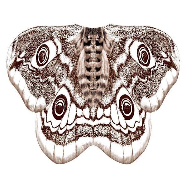 Sommerfuglevinger Cape Fairy Wings Kappe C C C