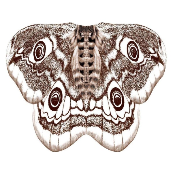 Sommerfuglvinger Cape Fairy Wings-kappe C C C