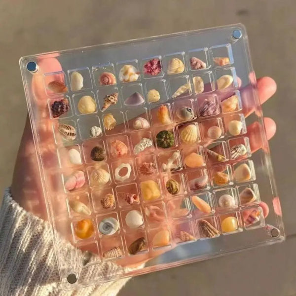 Magneettinen Seashell Display Box Seashell Säilytyslaatikko 36 GRID 36 36 grid