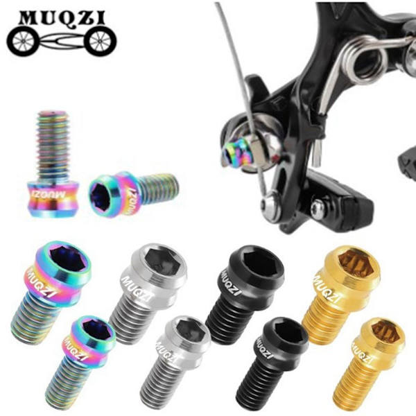 MTB V jarrusatulan ruuvit RAINBOW M6X10MM Rainbow M6X10MM