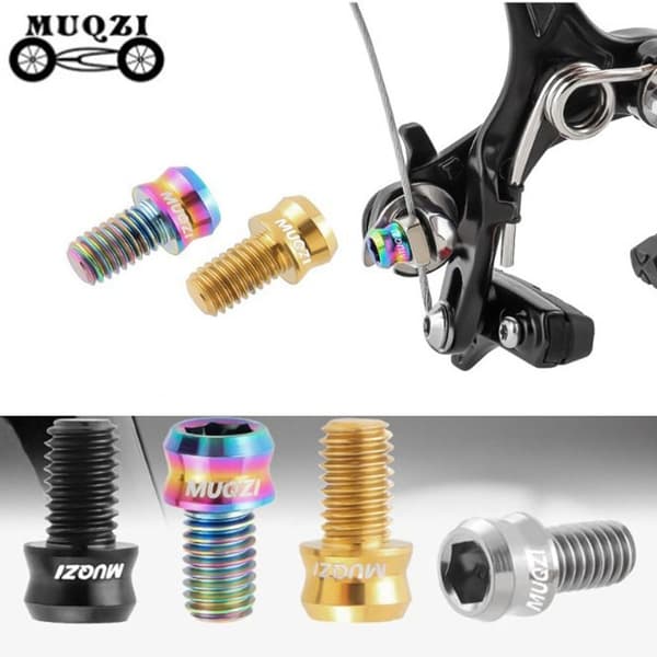 MTB V-bromsokskruvar SILVER M5X10MM Silver M5X10MM