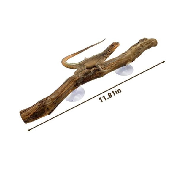 Reptil Dekor Grape Wood Stativ Leker Holdbare
