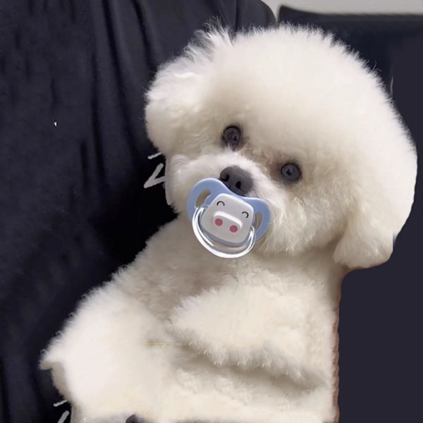 Smokk Chew Toy 4 4 4