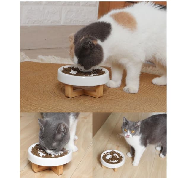 Kat Hund Langsom Foderskål Kat Puzzle Foder Keramik