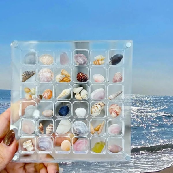 Magnetisk Seashell Display Box Seashell förvaringsbox 36 GRID 36 36 grid