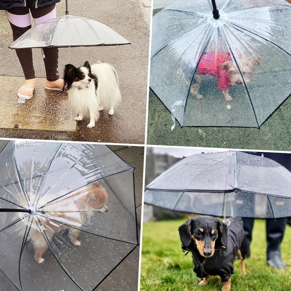 Hundparaply i rostfritt stål