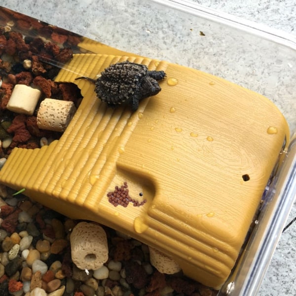 Turtle Basking Table Turtle Kiipeilytaso KAHVI Coffee