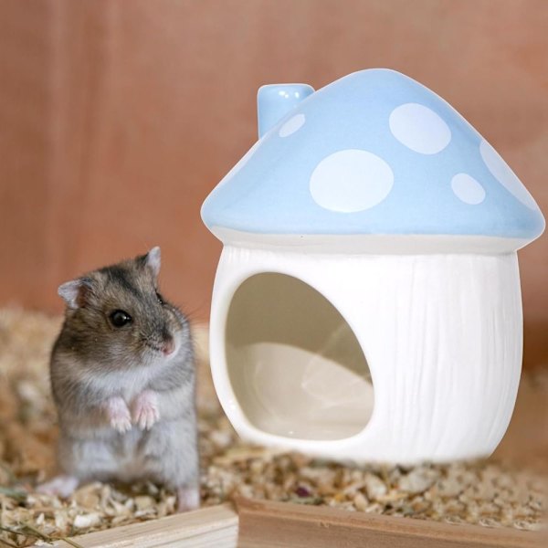 Svampformad keramisk hamster gömställe Små husdjursmiljö
