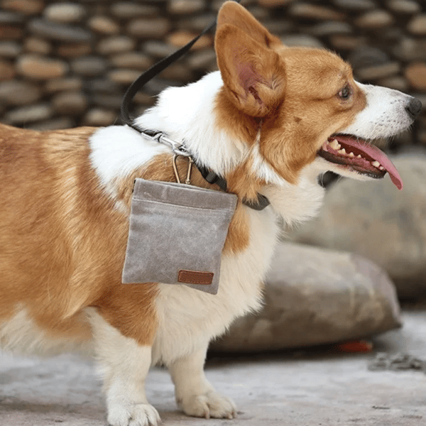 Hundetreningsgodbitpose KHAKI Khaki
