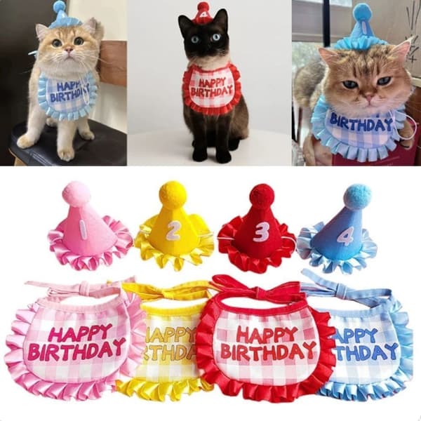 Katt Bursdag Skjerf Hatt Sett Rekvisittsett BLÅ Blue