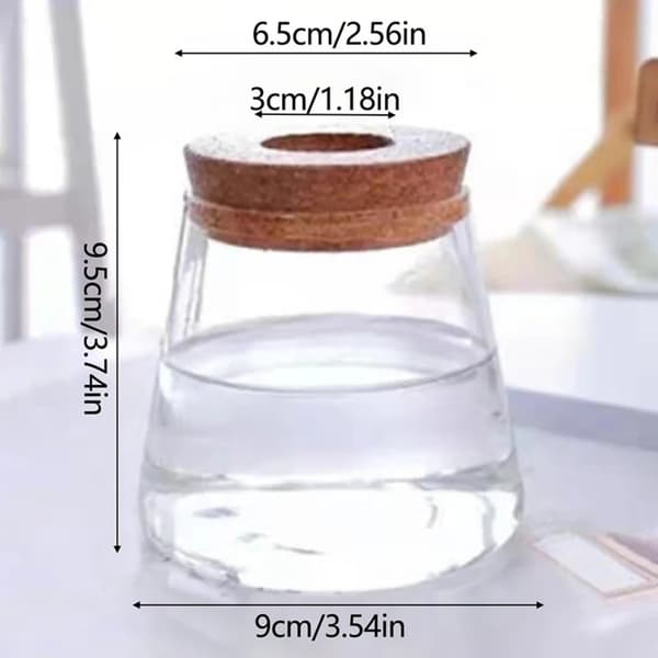 Hydroponisk Vas Växtvas 03 03 03