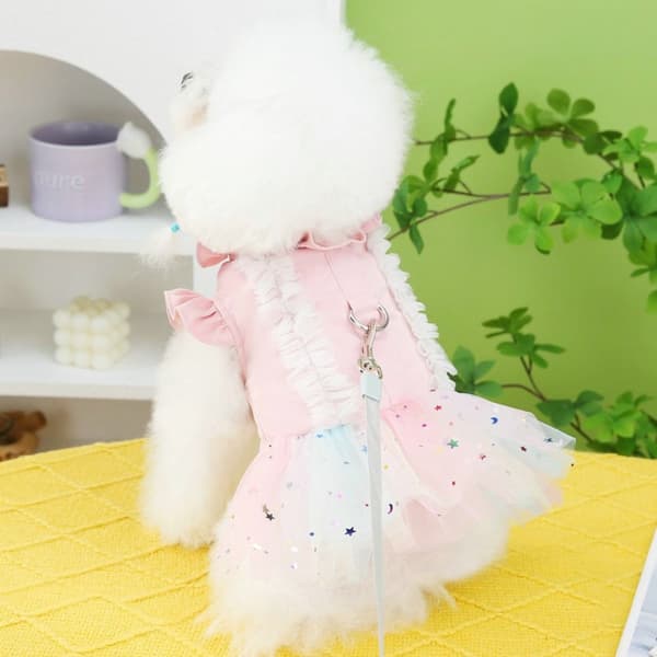 Hund Tyllklänning Hund Prinsessklänning Hundkläder