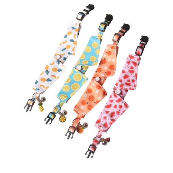 Hunde Slips Butterfly 1 1 1