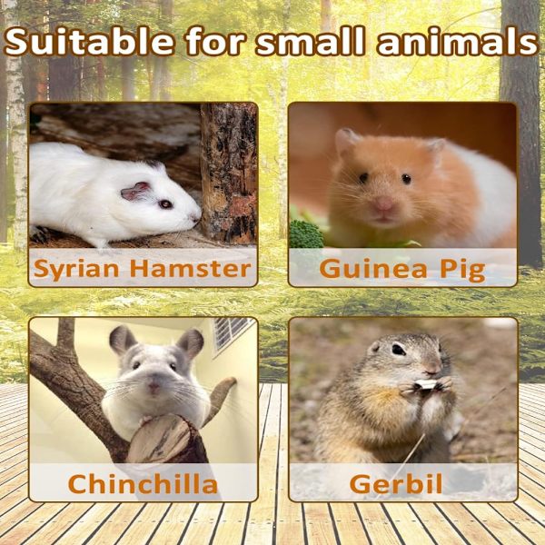 Suuri hamsteripeli, puinen taso, seisova puinen leikkikuntosali