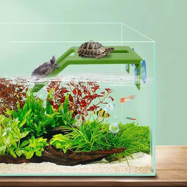 Turtle Basking Platform Skildpadde hvilende Basking Platform Skildpadder